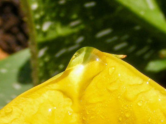 raindrop2